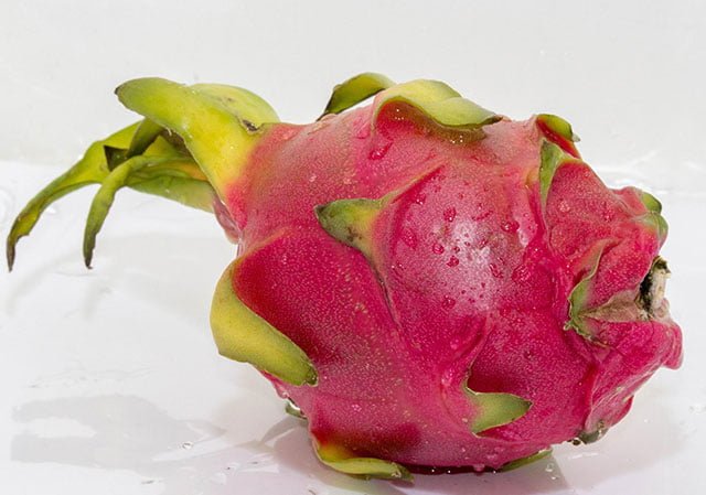 Chickens Eat Dragon Fruit
