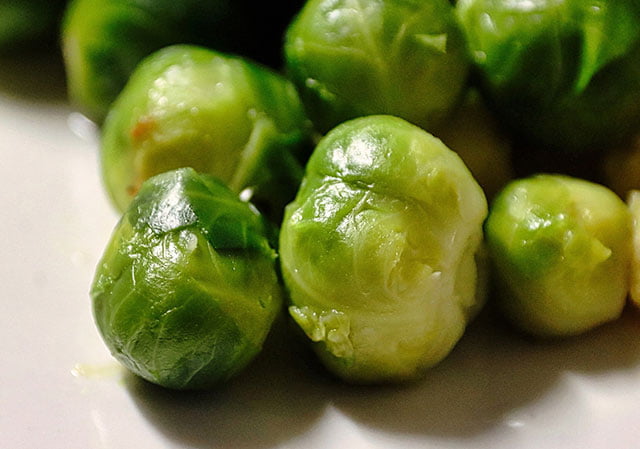 can a dog eat raw brussel sprouts