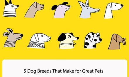 5 Dog Breeds That Make for Great Pets