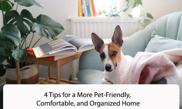 4 Tips for a More Pet-Friendly, Comfortable, and Organized Home