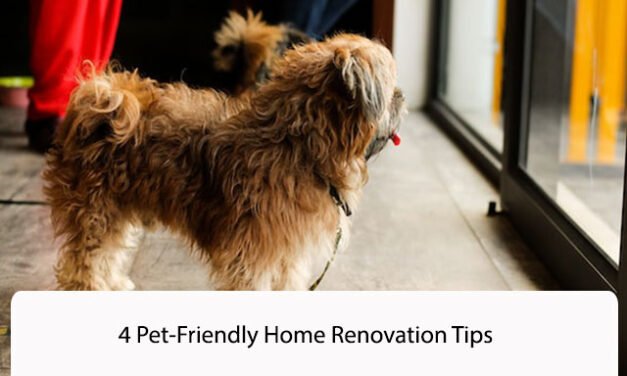 4 Pet-Friendly Home Renovation Tips