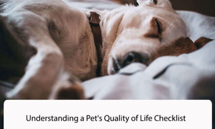 Understanding a Pet’s Quality of Life Checklist