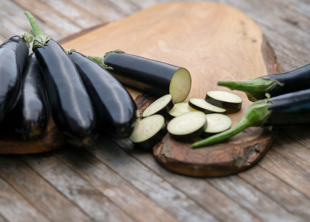 Can Tortoises Eat Eggplant