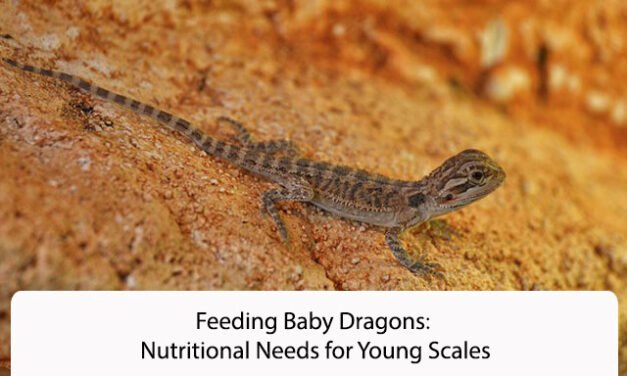 Feeding Baby Dragons: Nutritional Needs for Young Scales