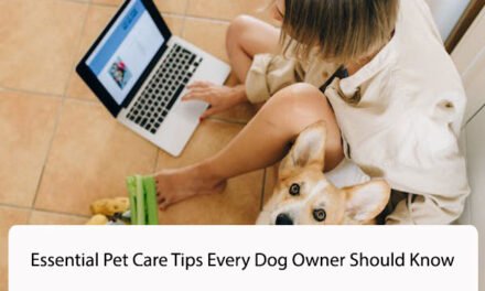 Essential Pet Care Tips Every Dog Owner Should Know