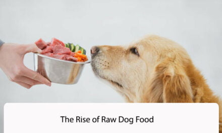 The Rise of Raw Dog Food