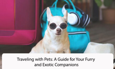 Traveling with Pets: A Guide for Your Furry and Exotic Companions