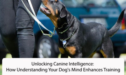 Unlocking Canine Intelligence: How Understanding Your Dog’s Mind Enhances Training