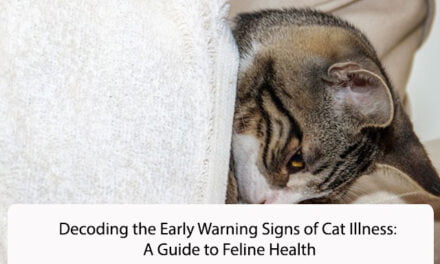 Decoding the Early Warning Signs of Cat Illness: A Guide to Feline Health