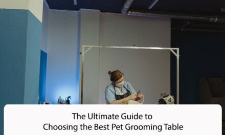 The Ultimate Guide to Choosing the Best Pet Grooming Table