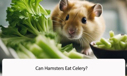 Can Hamsters Eat Celery? A Comprehensive Guide