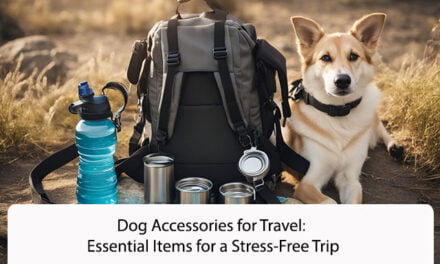 Dog Accessories for Travel: Essential Items for a Stress-Free Trip