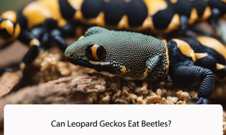 Can Leopard Geckos Eat Beetles?