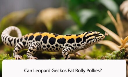 Can Leopard Geckos Eat Rolly Pollies?