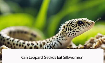 Can Leopard Geckos Eat Silkworms?