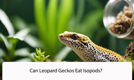 Can Leopard Geckos Eat Isopods?