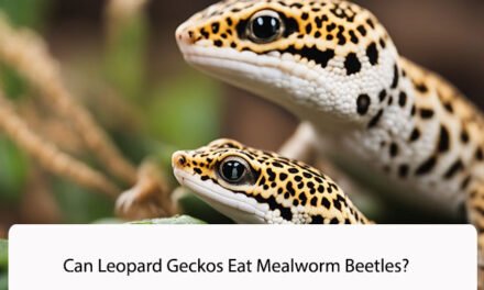 Can Leopard Geckos Eat Mealworm Beetles?