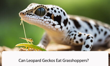 Can Leopard Geckos Eat Grasshoppers?