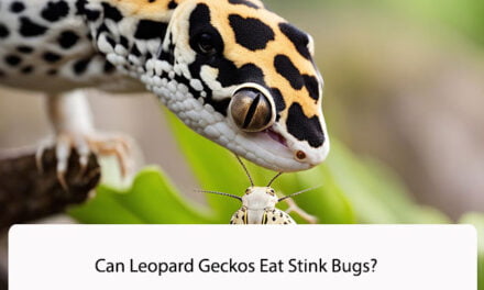 Can Leopard Geckos Eat Stink Bugs?