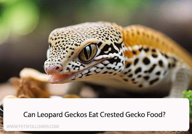 Can Leopard Geckos Eat Crested Gecko Food?