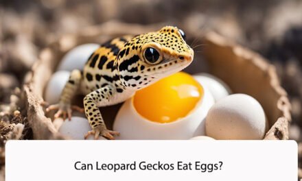 Can Leopard Geckos Eat Eggs?