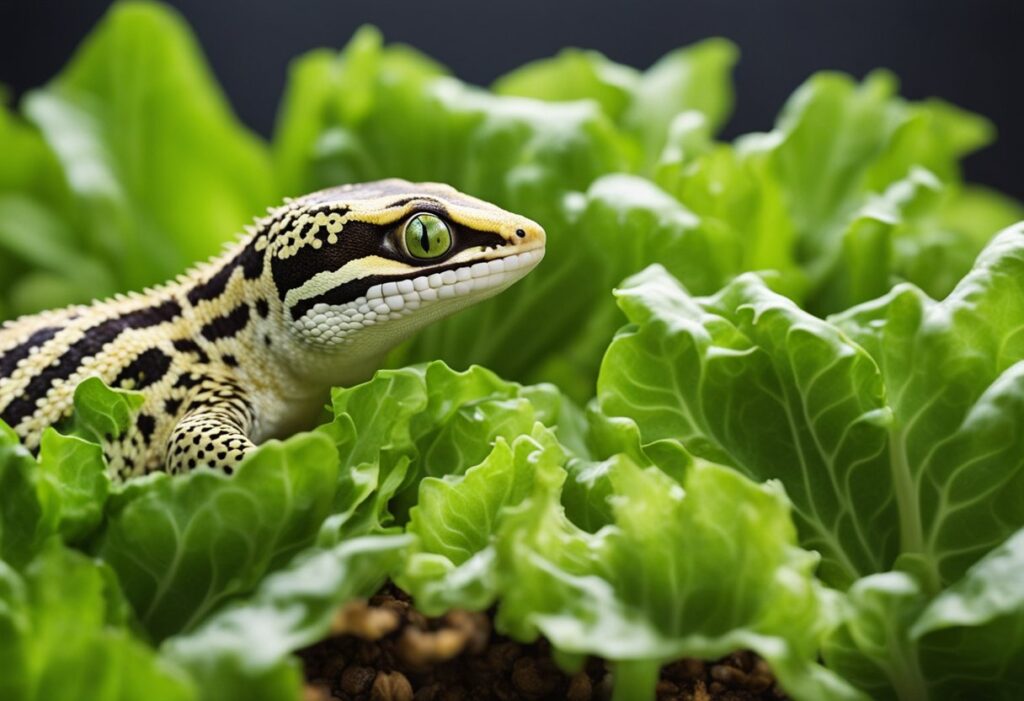 Can Leopard Geckos Eat Lettuce