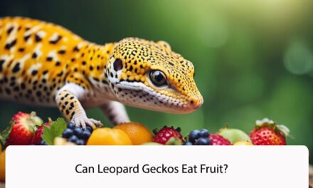 Can Leopard Geckos Eat Fruit?