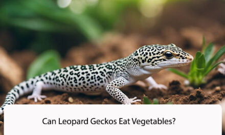 Can Leopard Geckos Eat Vegetables?