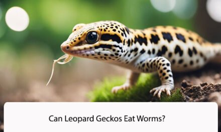 Can Leopard Geckos Eat Worms?