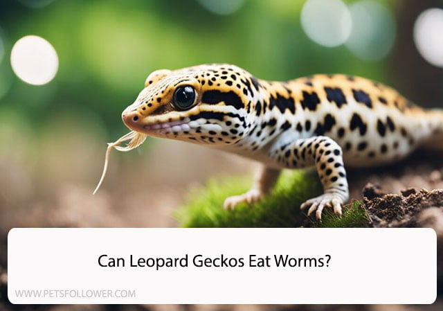 Can Leopard Geckos Eat Worms?