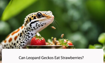 Can Leopard Geckos Eat Strawberries?