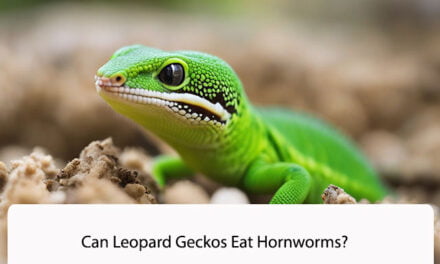 Can Leopard Geckos Eat Hornworms?