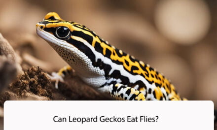 Can Leopard Geckos Eat Flies?