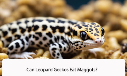 Can Leopard Geckos Eat Maggots?