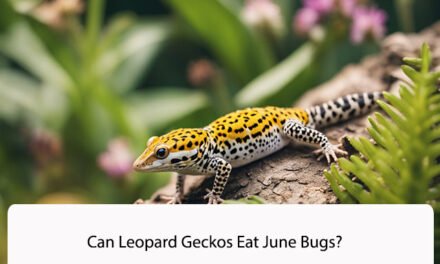 Can Leopard Geckos Eat June Bugs?