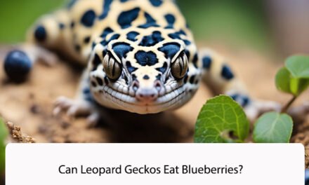 Can Leopard Geckos Eat Blueberries?