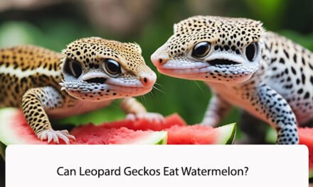 Can Leopard Geckos Eat Watermelon?