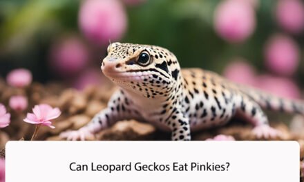 Can Leopard Geckos Eat Pinkies?