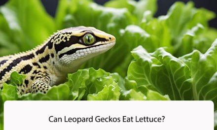 Can Leopard Geckos Eat Lettuce?