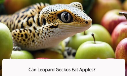 Can Leopard Geckos Eat Apples?