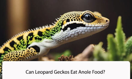 Can Leopard Geckos Eat Anole Food?