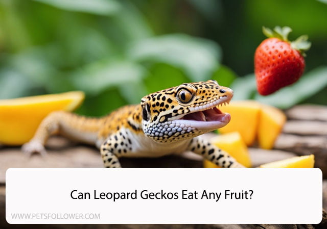 Can Leopard Geckos Eat Any Fruit?