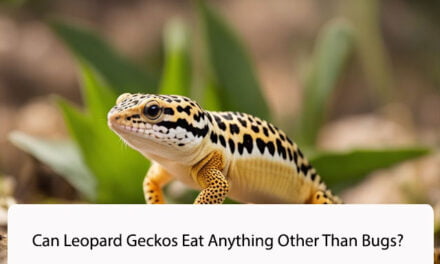 Can Leopard Geckos Eat Anything Other Than Bugs?