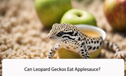 Can Leopard Geckos Eat Applesauce?