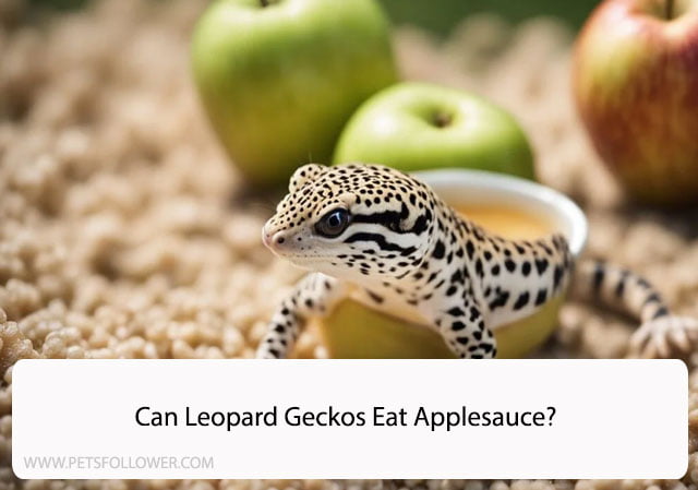 Can Leopard Geckos Eat Applesauce?