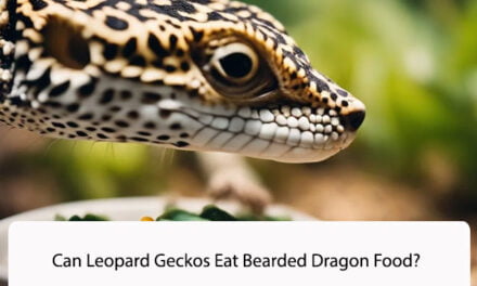 Can Leopard Geckos Eat Bearded Dragon Food?