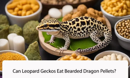 Can Leopard Geckos Eat Bearded Dragon Pellets?