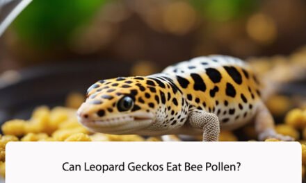 Can Leopard Geckos Eat Bee Pollen?