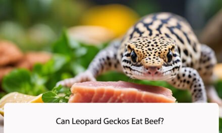 Can Leopard Geckos Eat Beef?