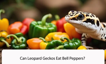 Can Leopard Geckos Eat Bell Peppers?